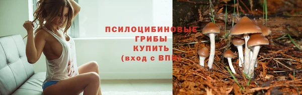 apvp Приозерск