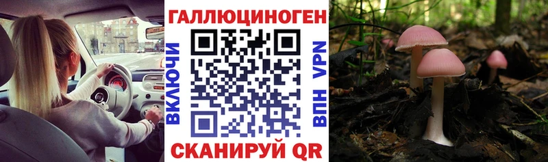Псилоцибиновые грибы прущие грибы  Купить где  Киреевск 